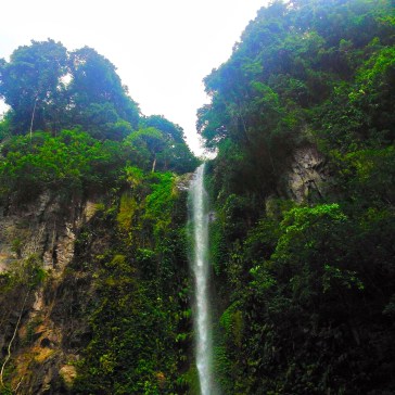 That's quite a drop! That's quite a drop!